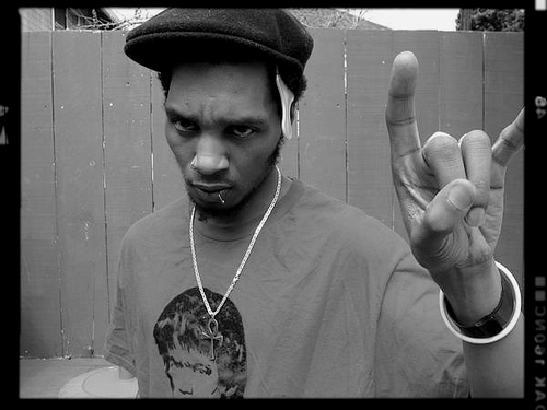 Del Funky Homosapien