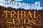 Tribal Seeds