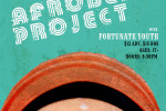 Chicago Afrobeat Project