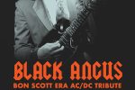 Black Angus “A tribute to AC/DC”