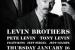 Levin Brothers