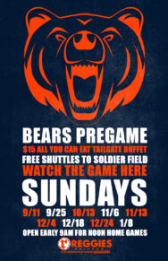 Chicago Bears vs Minnesota Vikings