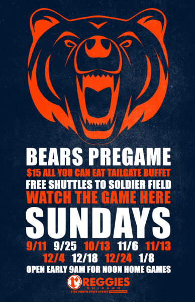 chicago bears and commanders