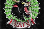 Koffin Kats