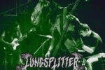 LUNGSPLITTER
