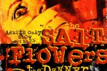 The Saltflowers