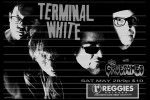 Terminal White