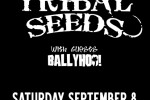 TRIBAL SEEDS