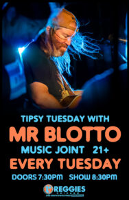 Mr. Blotto Tipsy Tuesday