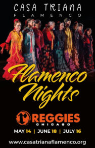 Flamenco Nights